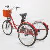 Электровелосипед GreenCamel Трайк-24 (R24 500W 48V 15Ah) красный